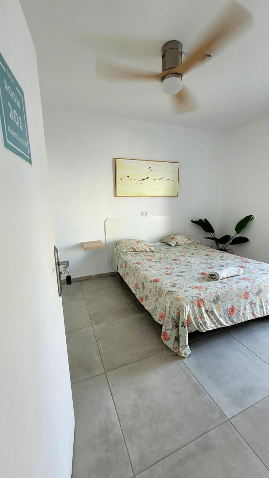 Cisne By Nest Hostel Sant Antoni de Portmany Esterno foto